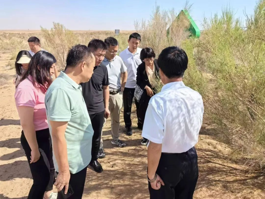 一场跨越一千公里的双向奔赴3.png