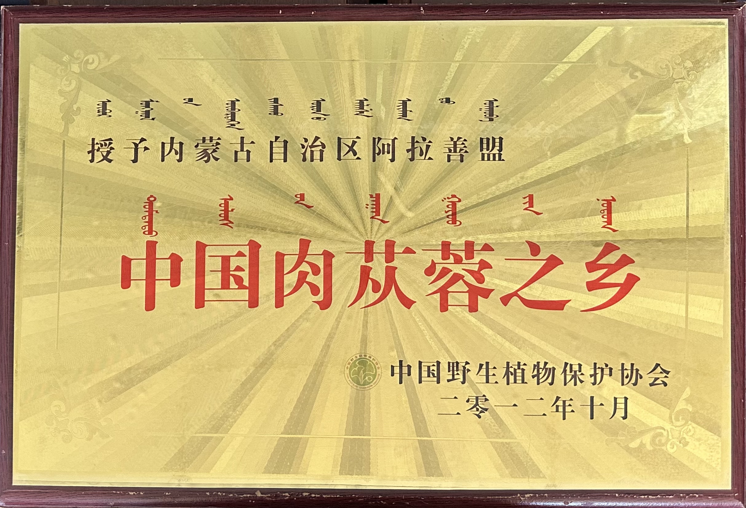 阿拉善盟也被中国野生植物保护协会授予“中国肉苁蓉之乡”称号.jpg