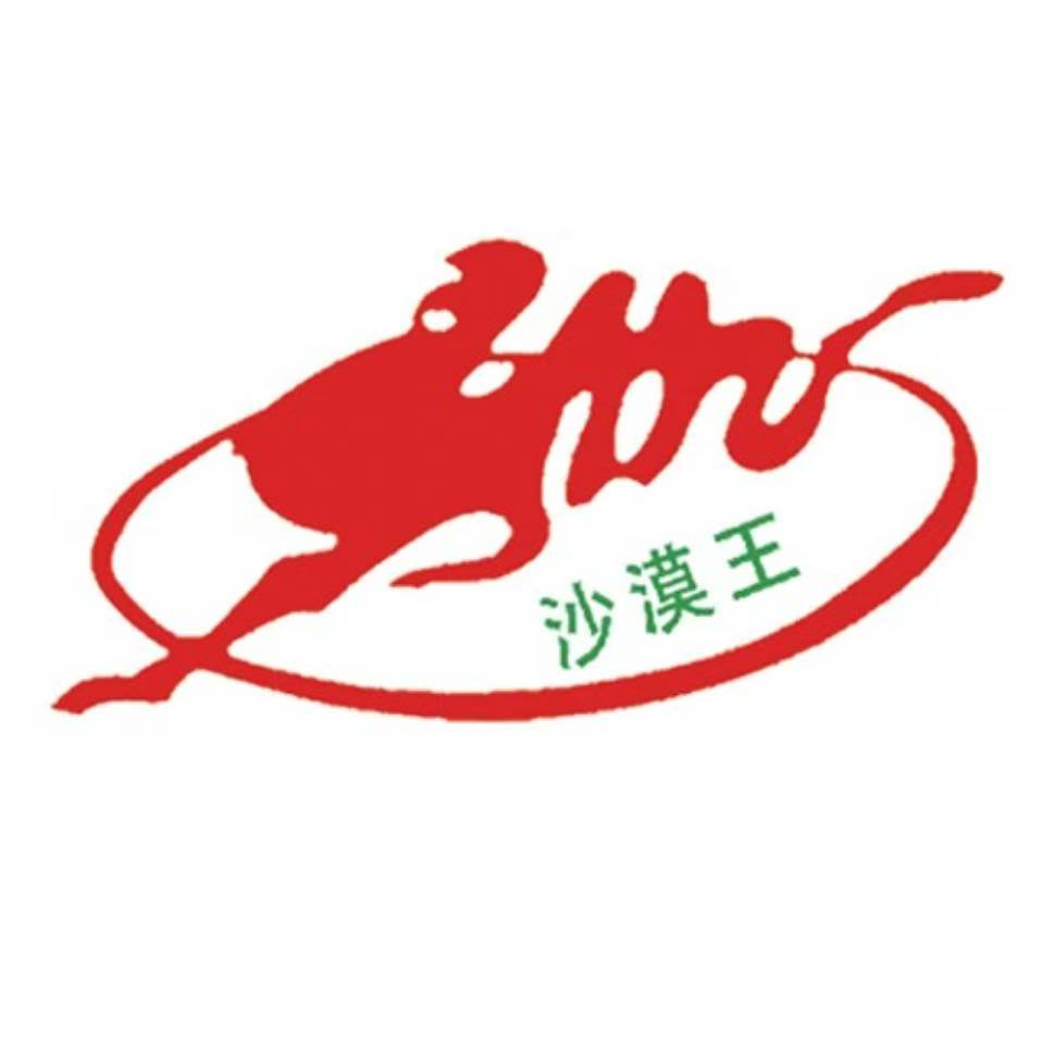 沙漠王
