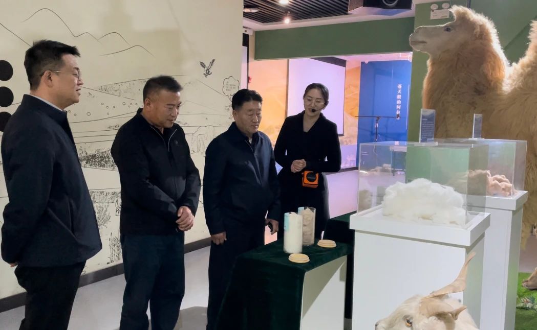 大漠点金绿生辉 | 自治区人大调研组一行考察阿拉善特色产业发展实践