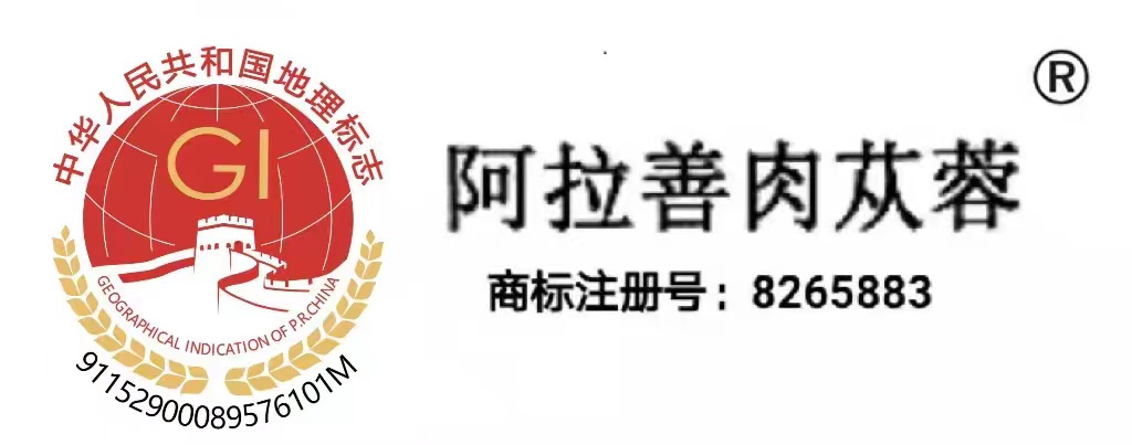 尚容源
